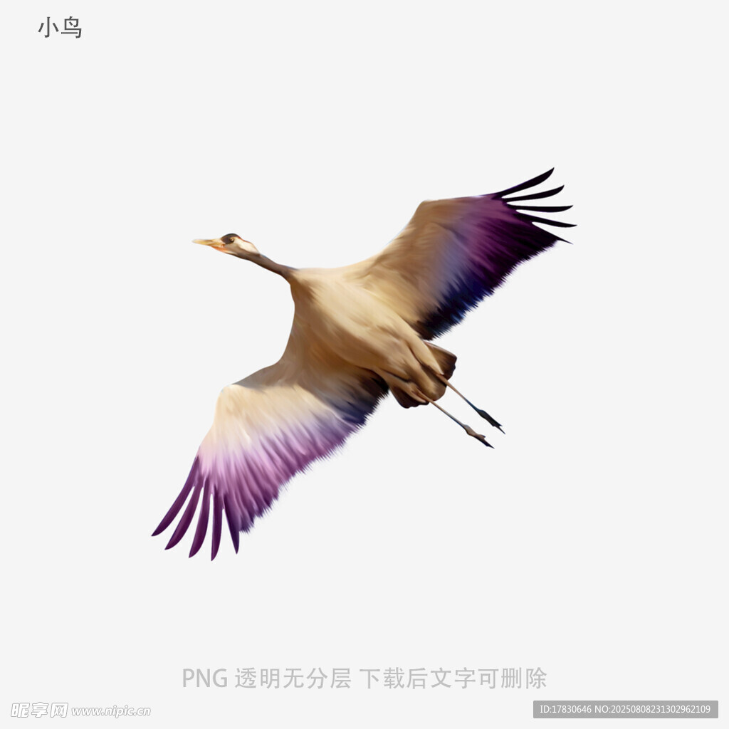小鸟
