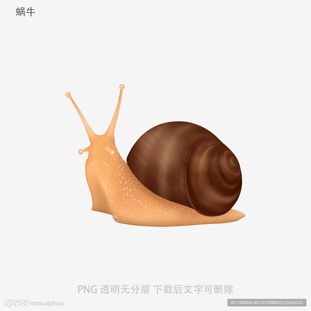 蜗牛
