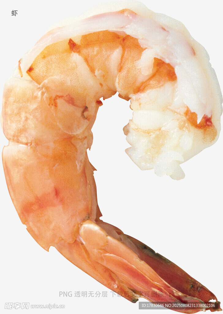 虾