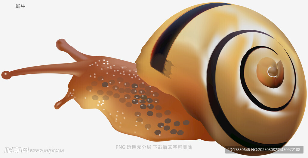 蜗牛