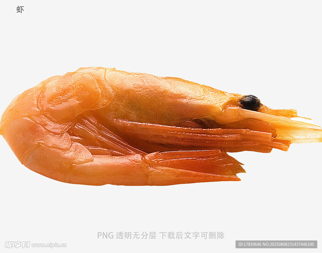 虾