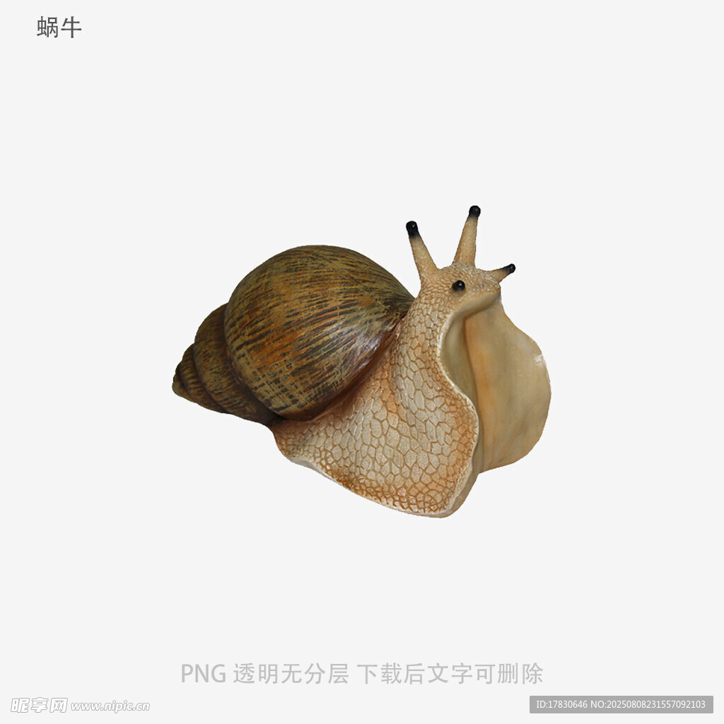 蜗牛