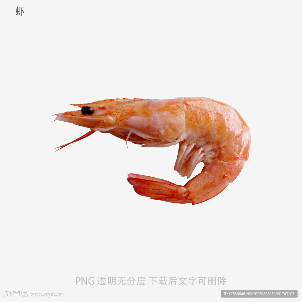 虾