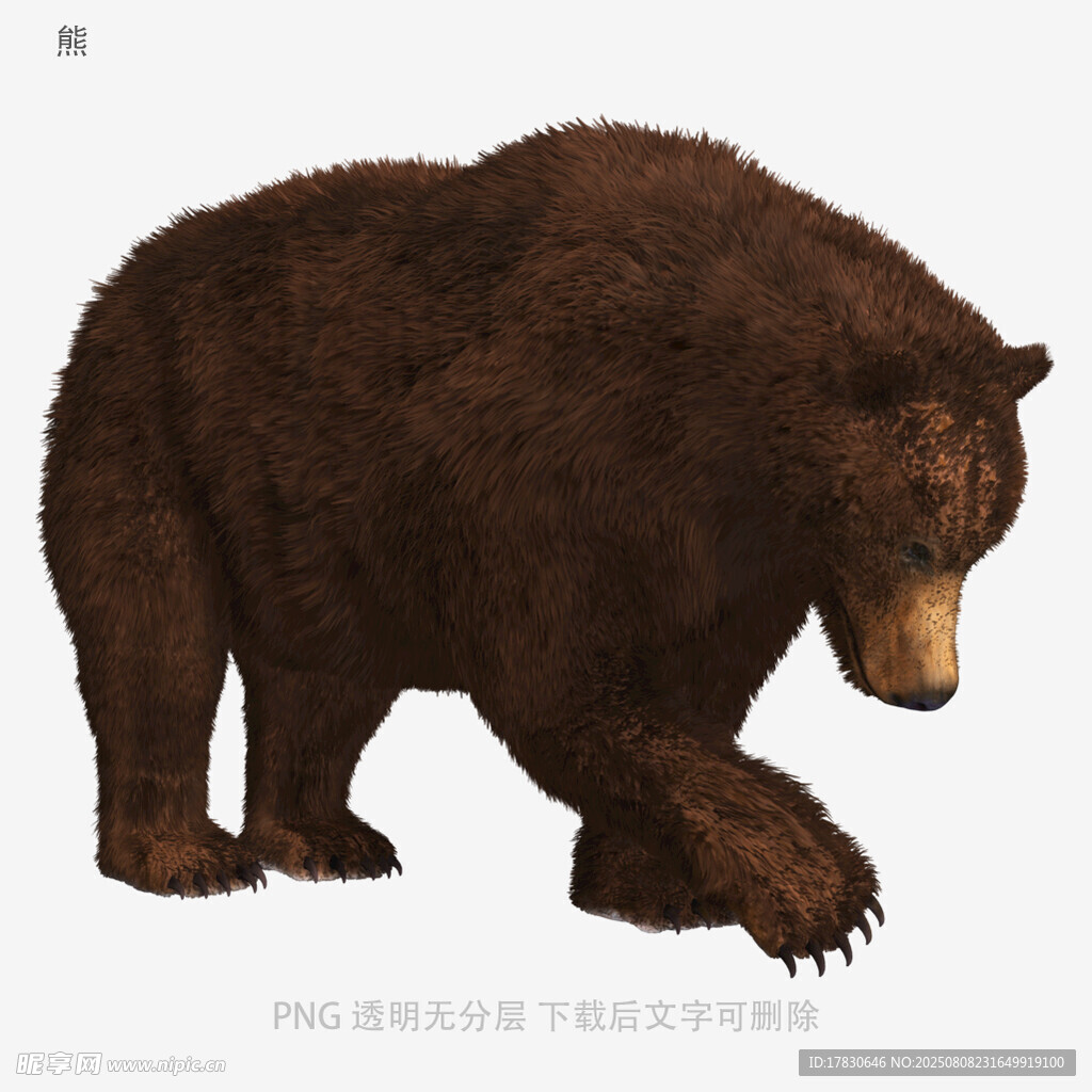 熊