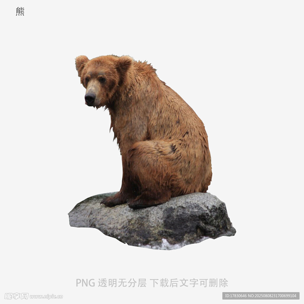 熊