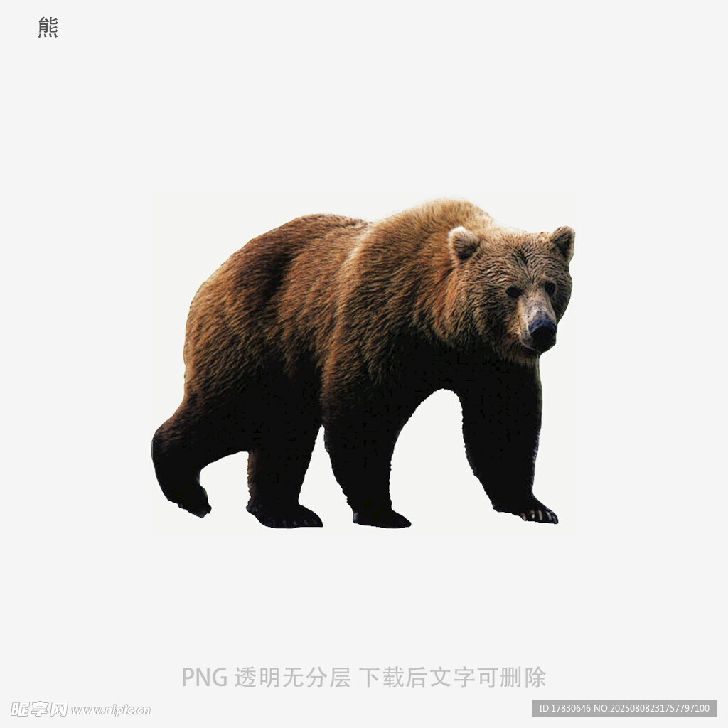 熊