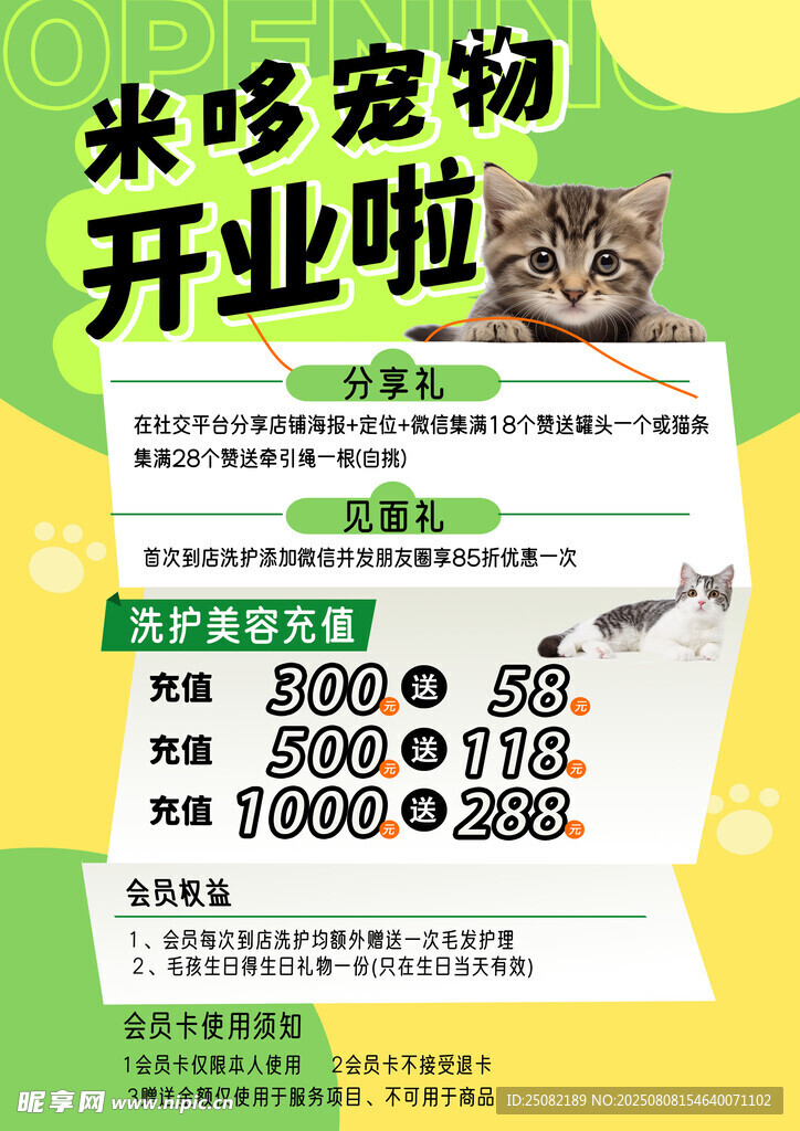 宠物店开业海报