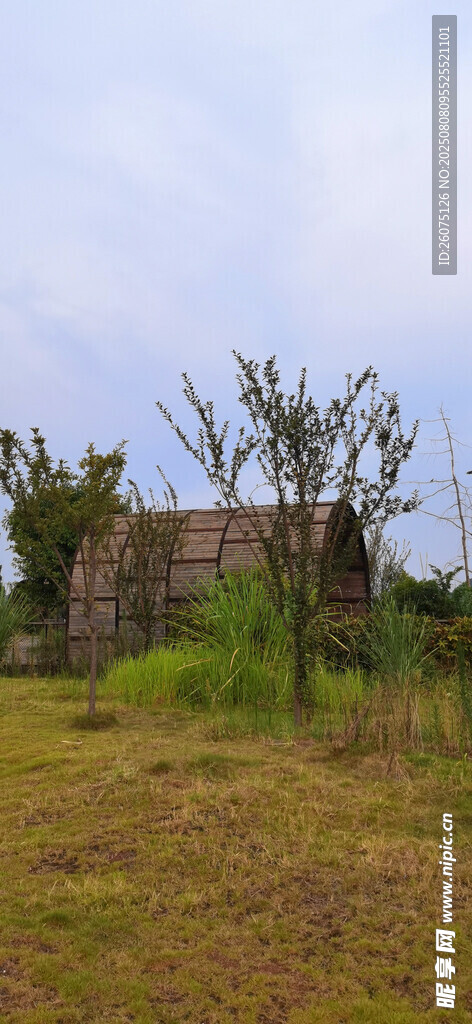 荒野中草地与遮阳棚
