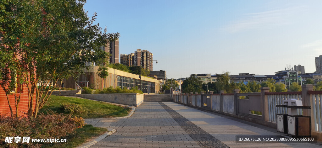 城市河畔的绿意道路与护栏景观