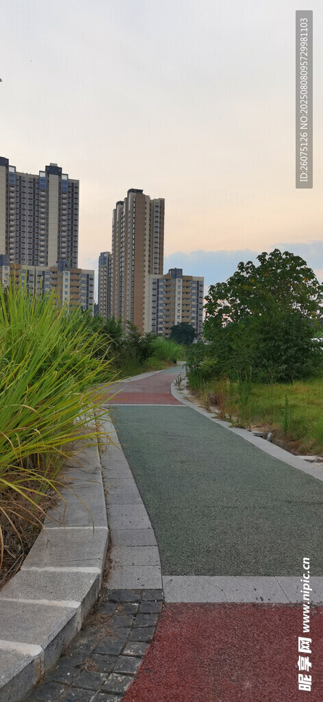 城市中的多彩步道风景