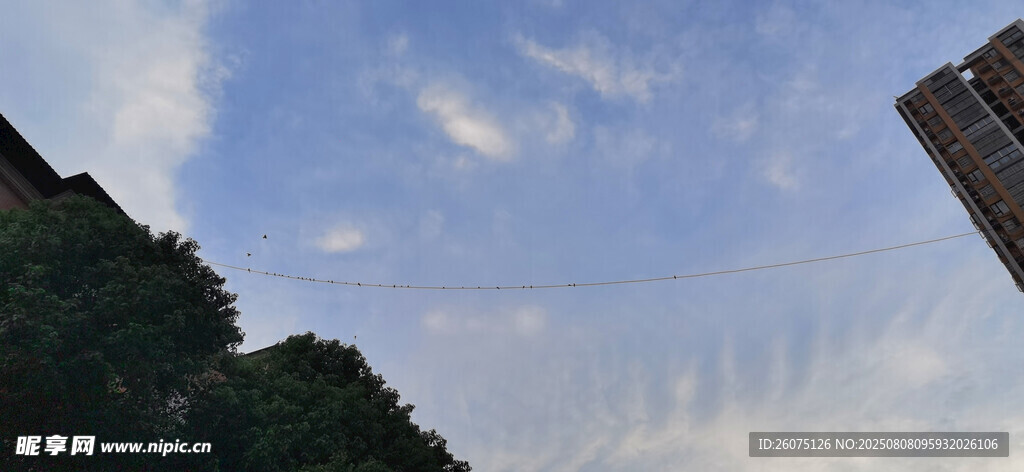 蓝天绿树建筑与电线