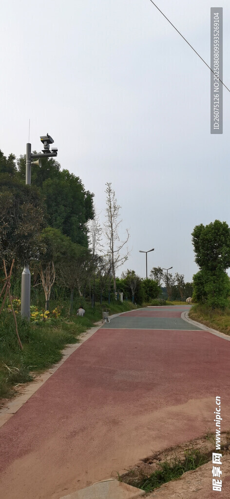 乡村蜿蜒小路景色