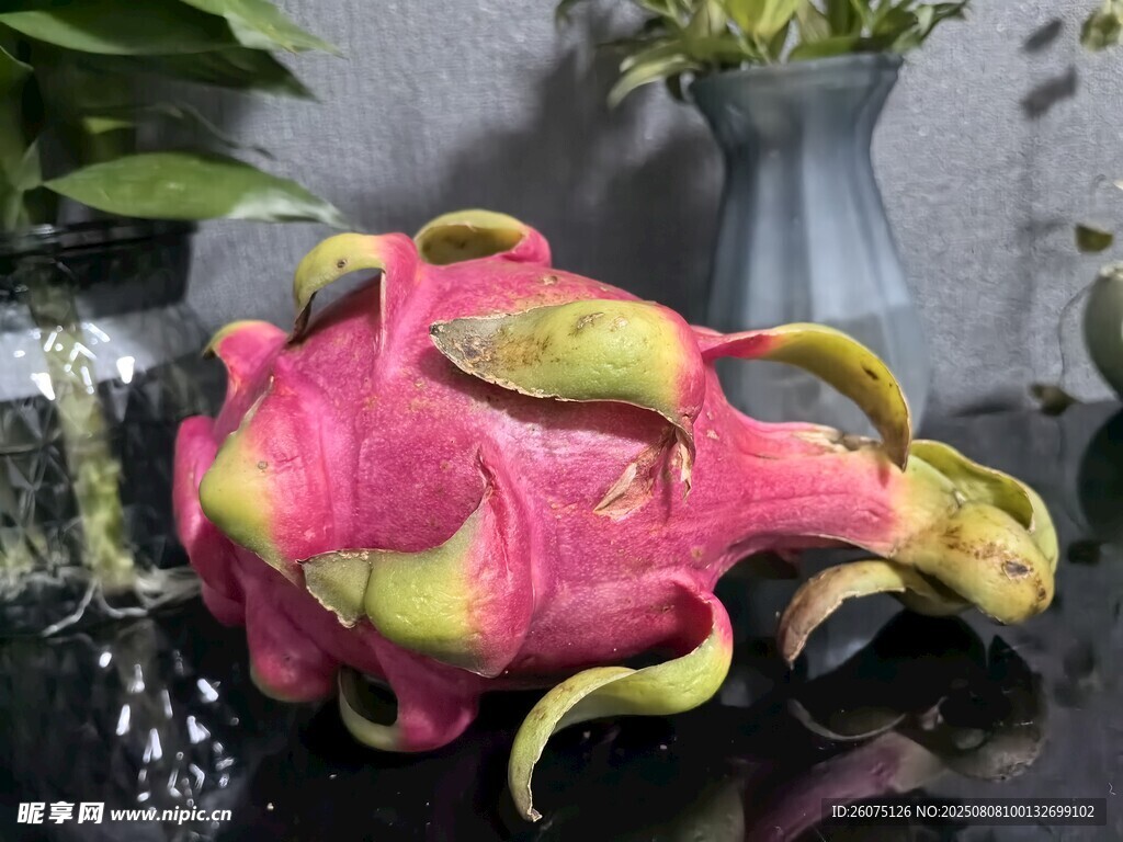 奇特造型火龙果特写