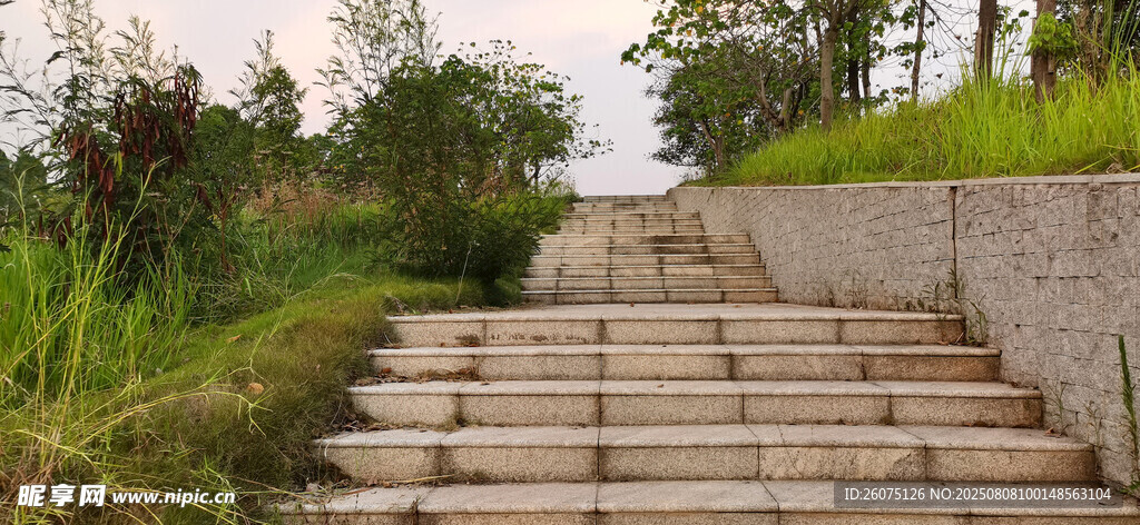 户外上行石阶风景