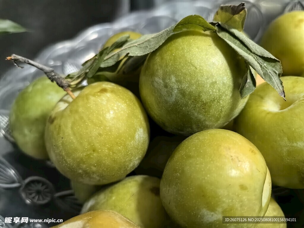 新鲜青李堆叠