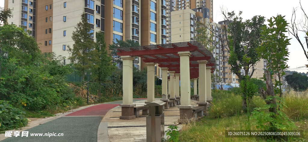 城市公园中的休闲凉亭景观