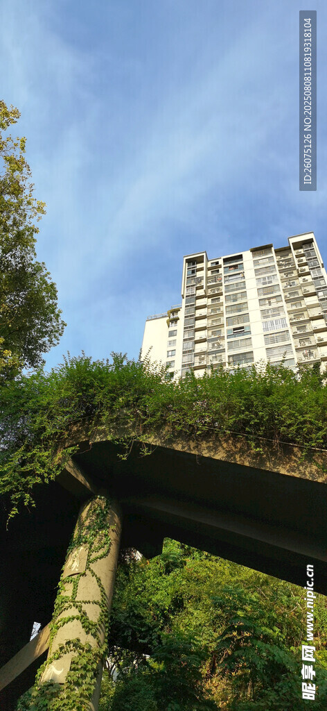 绿植缠绕建筑与远处现代高楼
