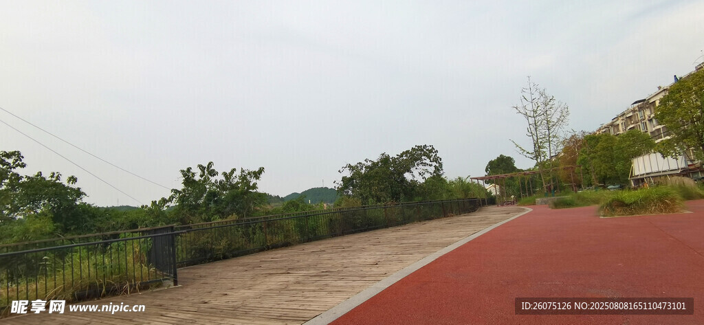 红色步道旁的绿植景观