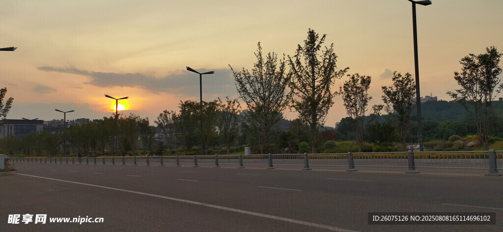 黄昏下的空旷道路与树木