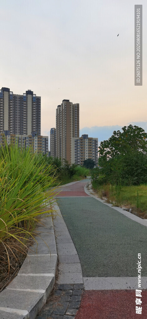 城市中的静谧彩色步道