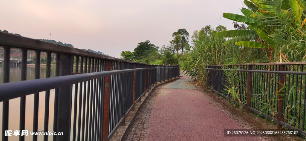户外红色步道与绿植护栏