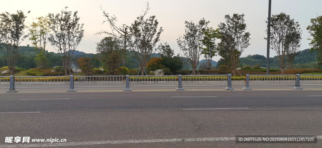 空旷公路边的绿树景观