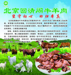 北京回清阁牛肉 品质之选