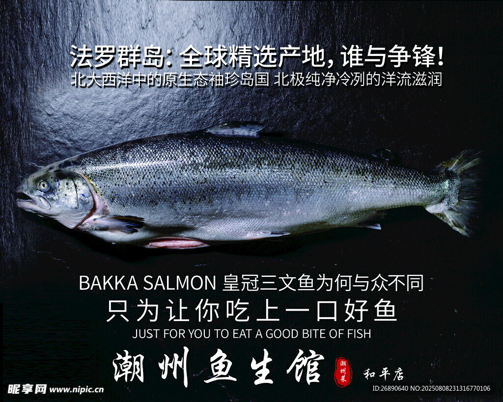 进口大马哈鱼 只为一口鲜