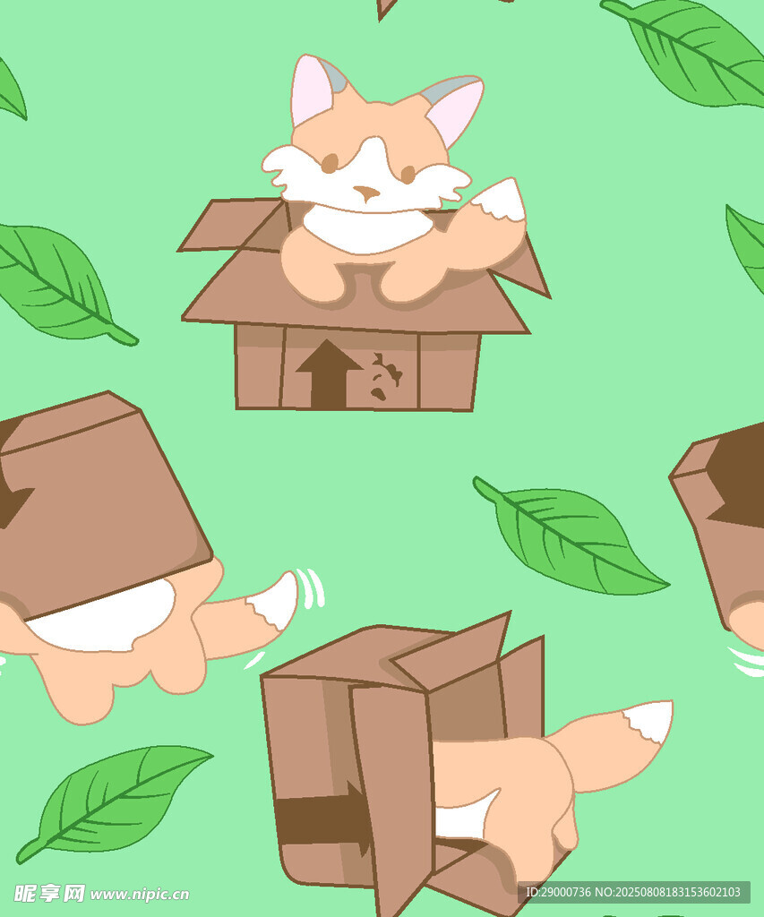 猫咪玩纸箱的可爱瞬间