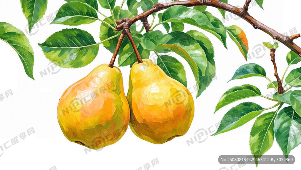 手绘椭圆形黄色丰水梨  