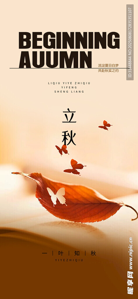 立秋