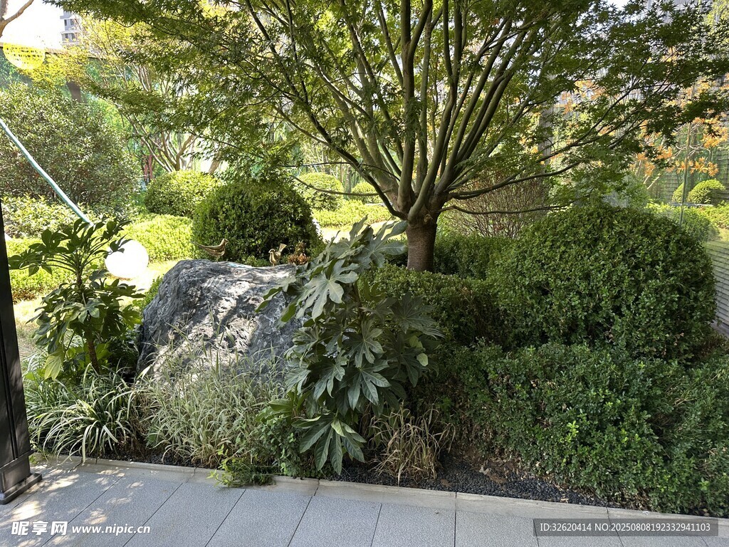 庭院绿植景观石景致