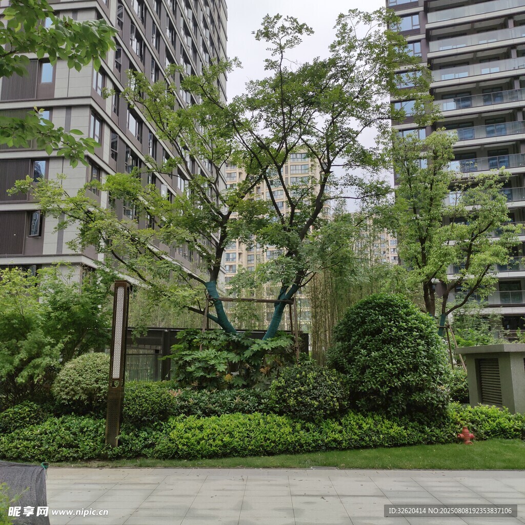 城市中的绿意盎然景观