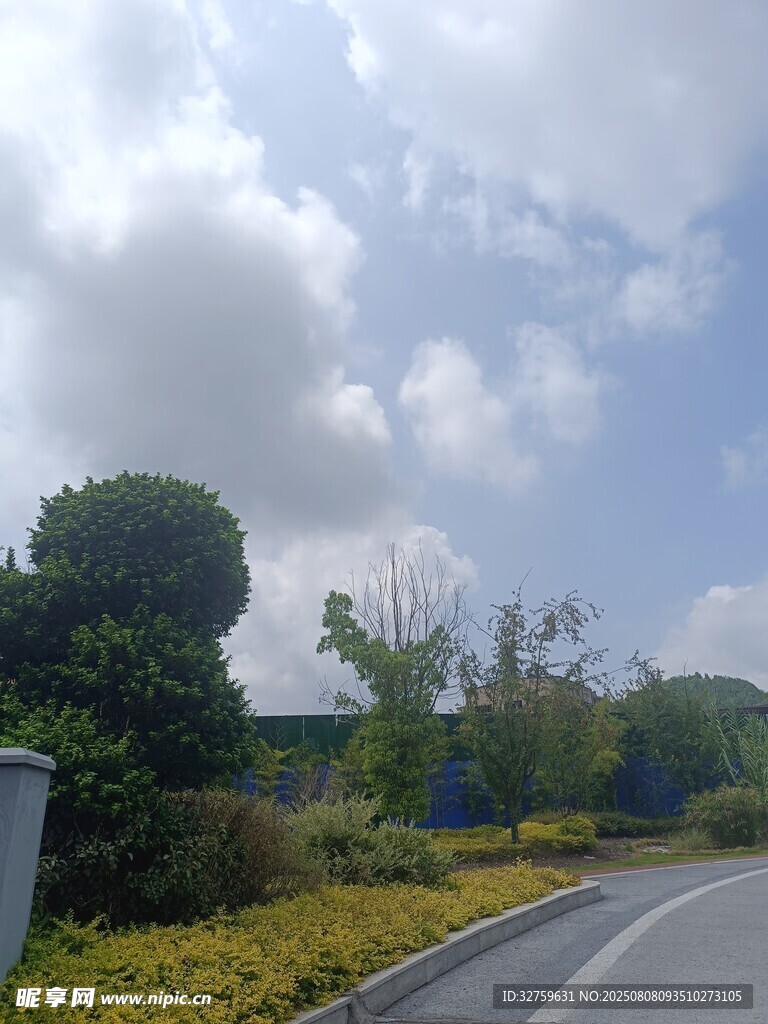 公路旁的绿植与蓝天白云
