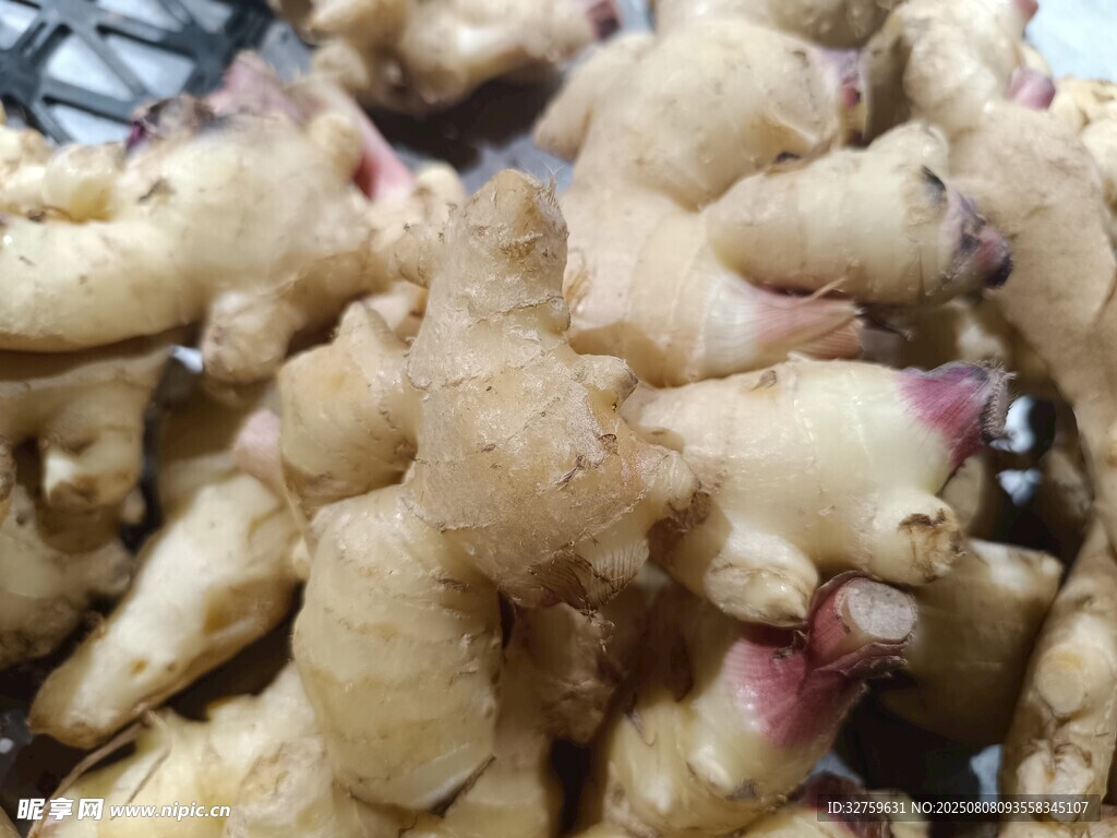 新鲜生姜特写