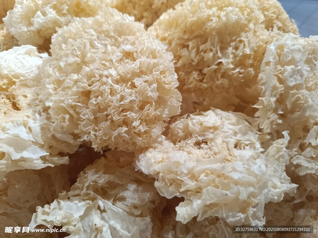 新鲜银耳干货特写