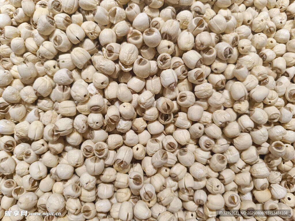 白藜麦特写