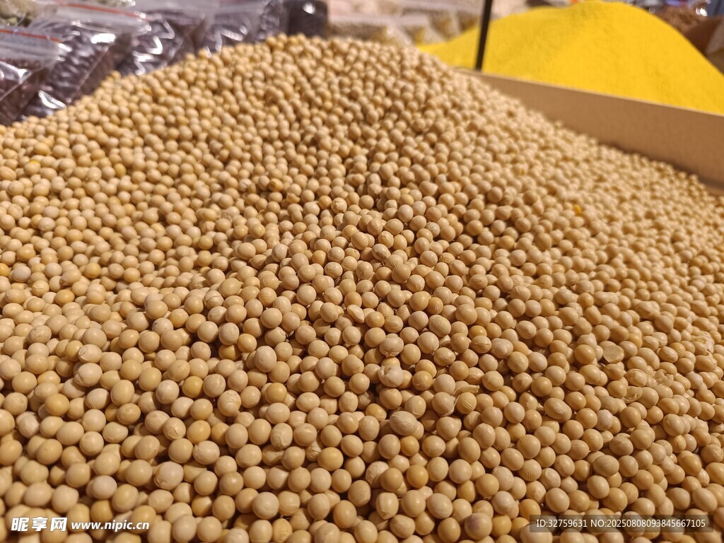 金黄大豆堆成丰收景象