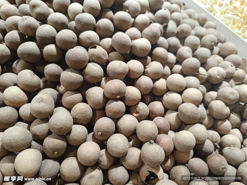 桂圆