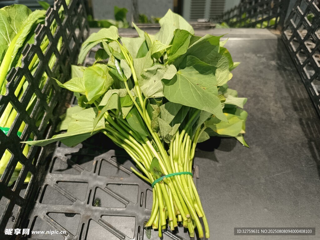 新鲜菠菜待售