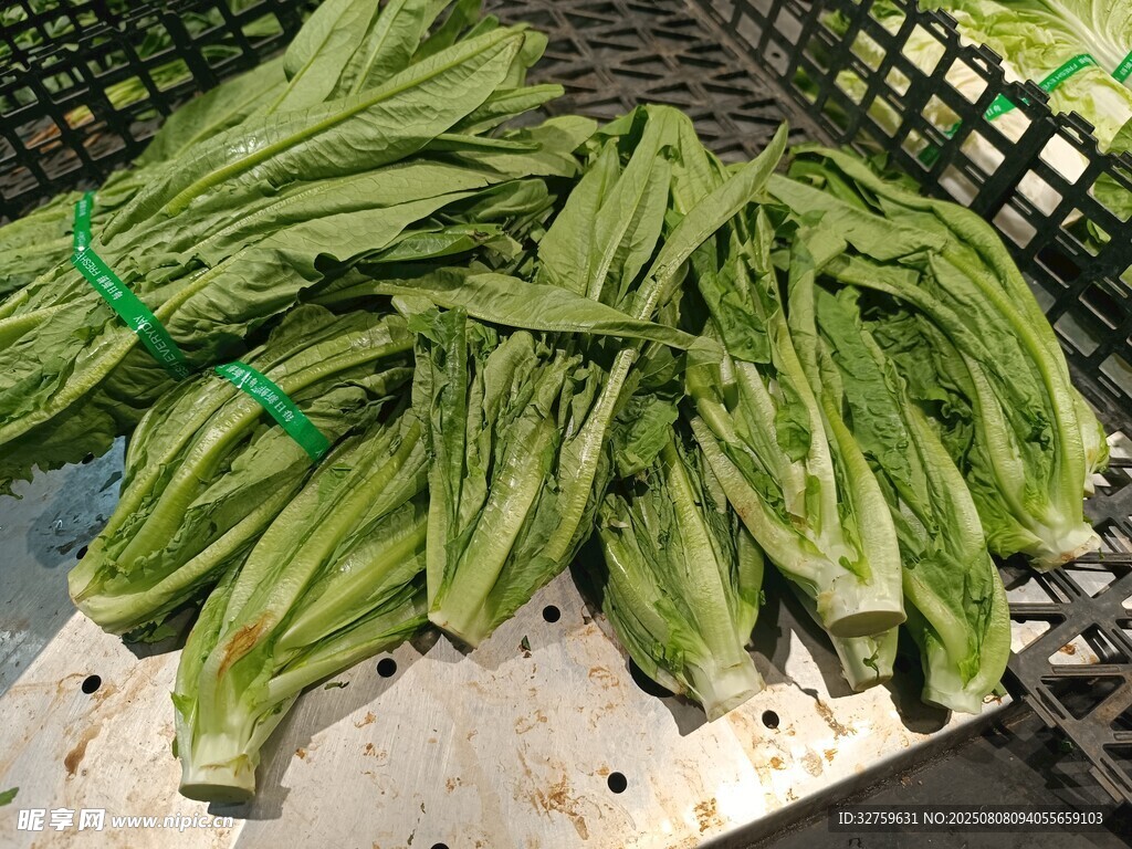 新鲜翠绿的蔬菜待售