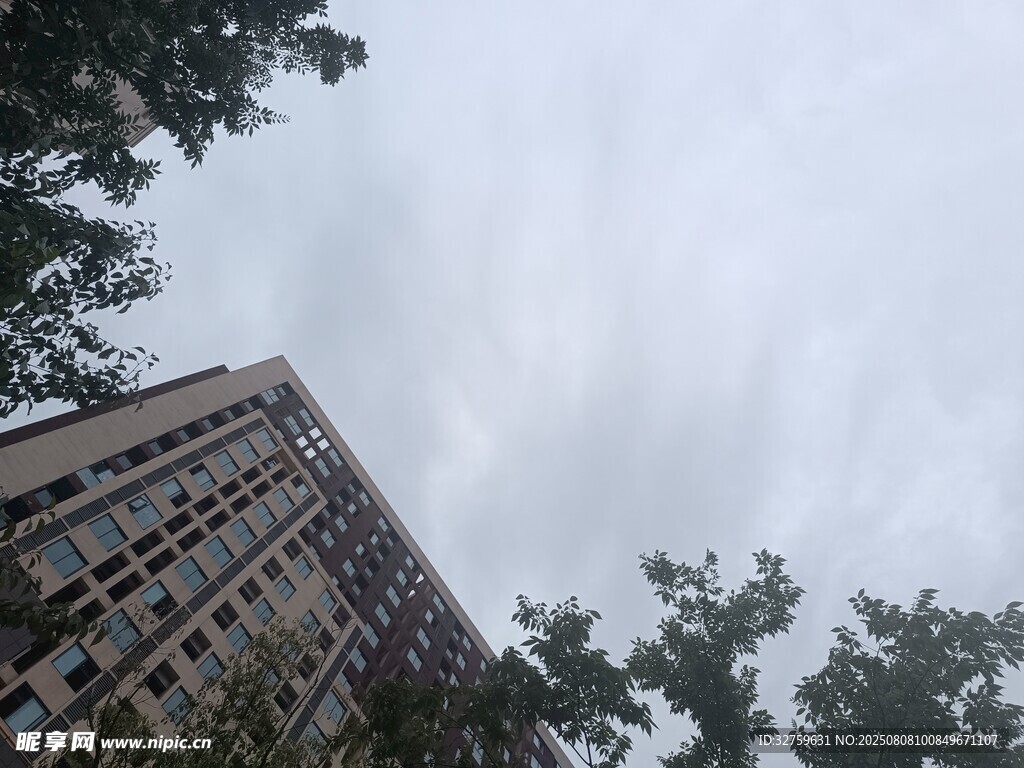 高楼与树木映衬的天空