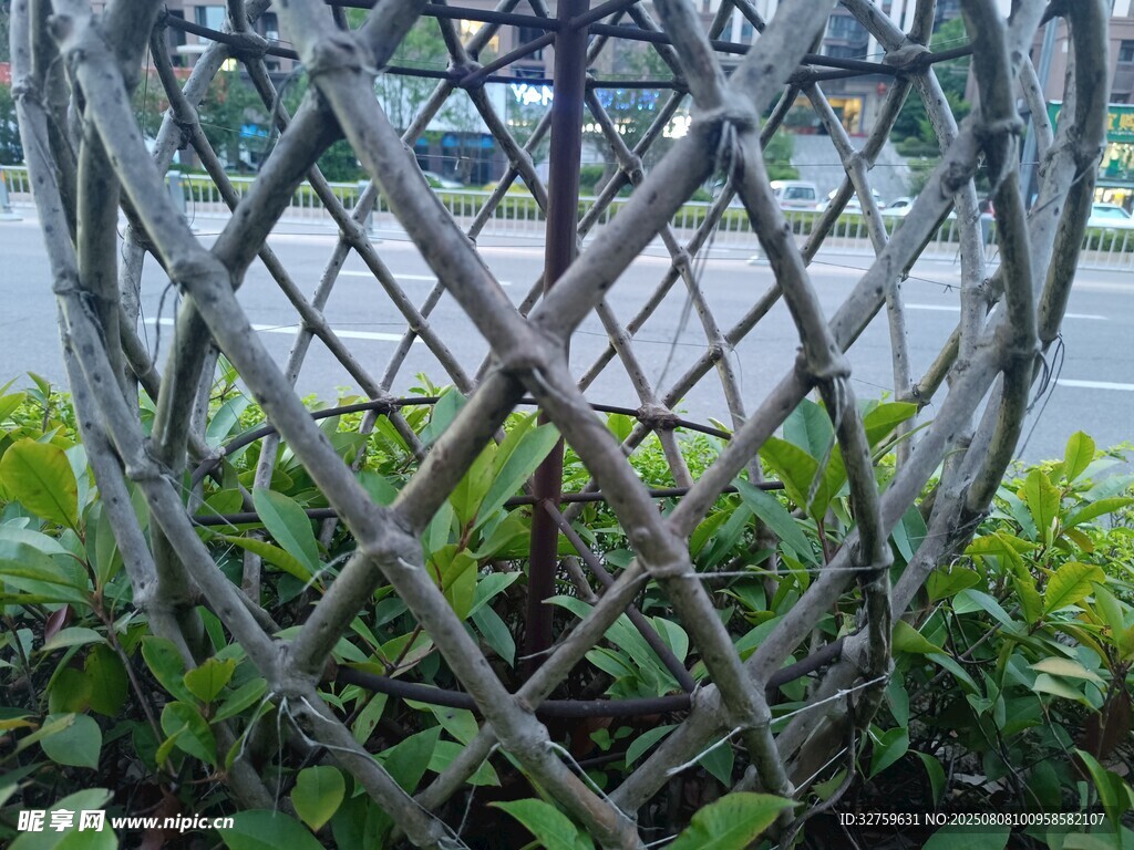 古朴竹编灯笼置于绿植间