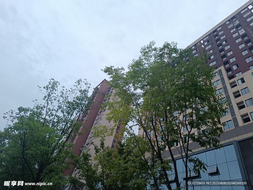 高楼旁绿树环绕的景致