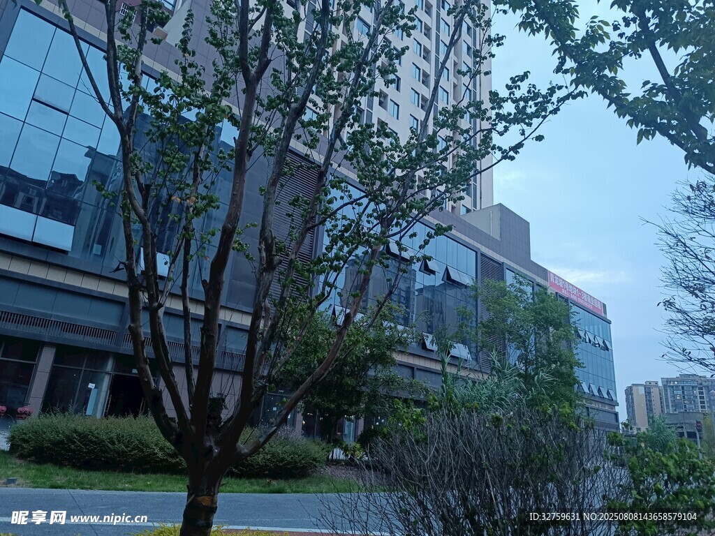 城市中的现代建筑与绿植