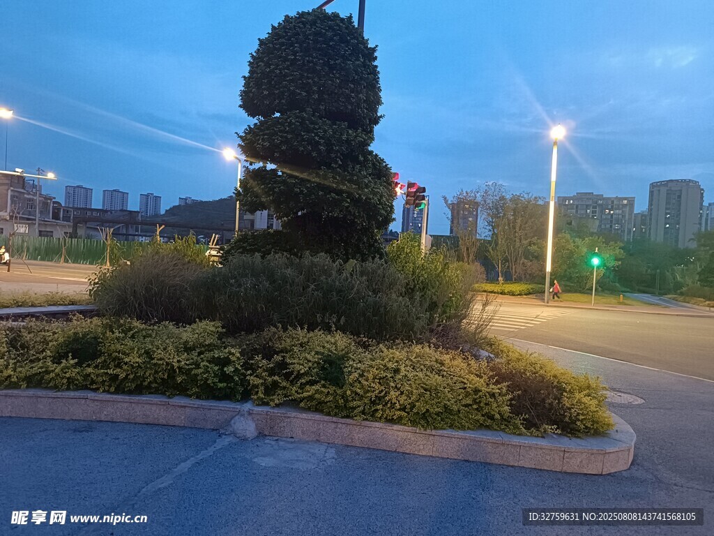 城市道路旁的绿植景观
