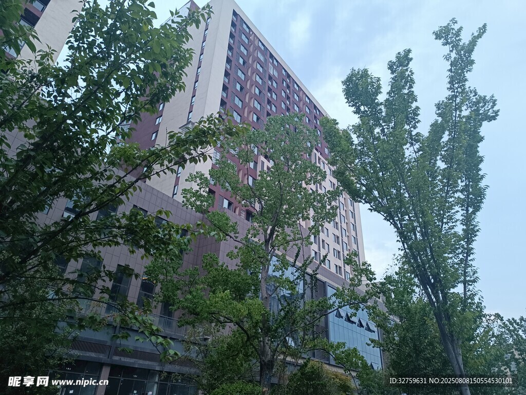 城市中林立的高楼与绿树