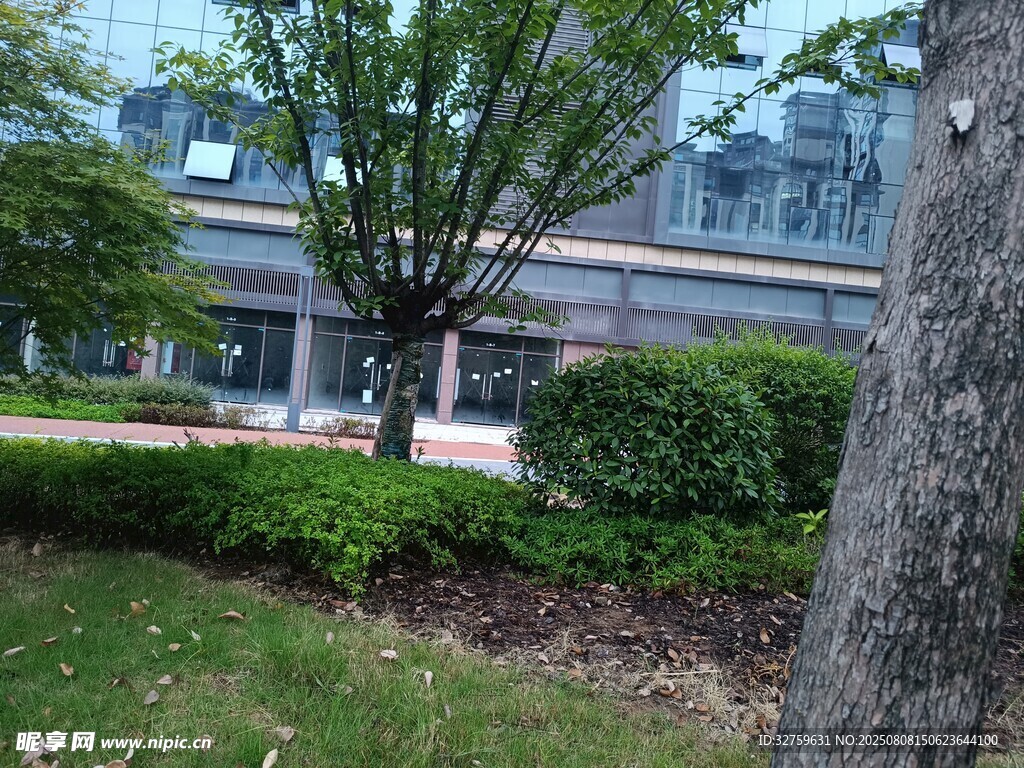 现代建筑旁的绿植景观
