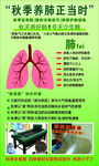 秋季养肺正当时