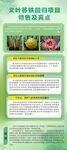 春天绿植植物海报